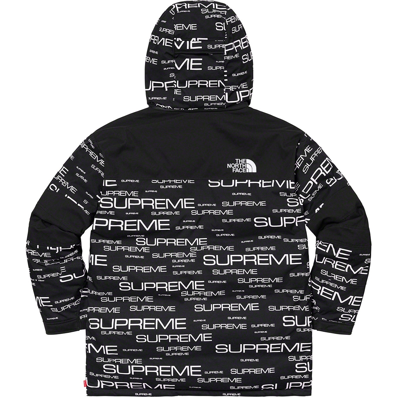 Supreme®/The North Face® Coldworks 700-Fill Down Parka view 15